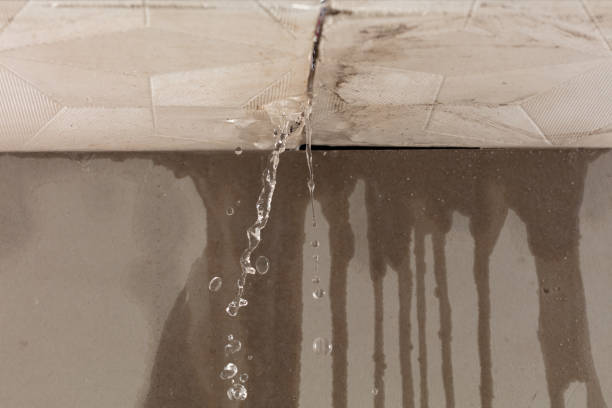 Professional Water Damage Repair technician working in Calverton, MD